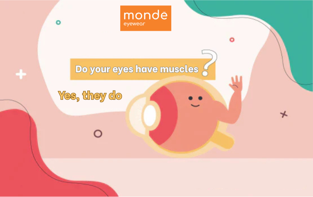 “Did You Know Your Eyes Have Muscles?”